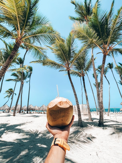 Mano che tiene una noce di cocco con una cannuccia sullo sfondo di una spiaggia con palme