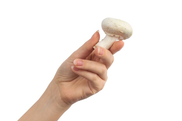 Mano con fungo bianco isolato su uno sfondo bianco foto