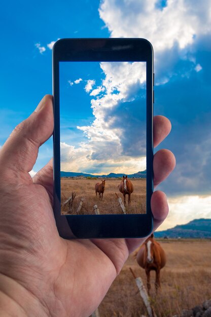 Mano con lo smartphone per scattare foto in una giornata di sole