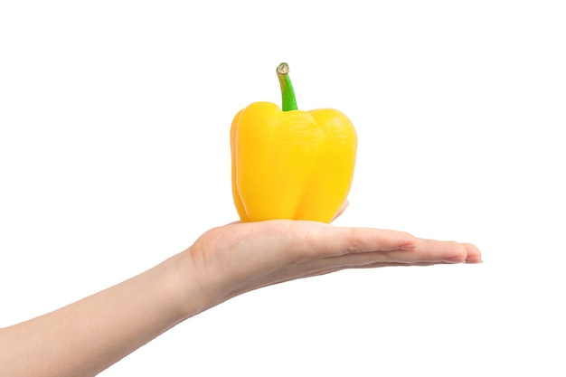Mano con peperone dolce giallo isolato su sfondo bianco. Donna che tiene verdura matura, concetto di cibo sano foto