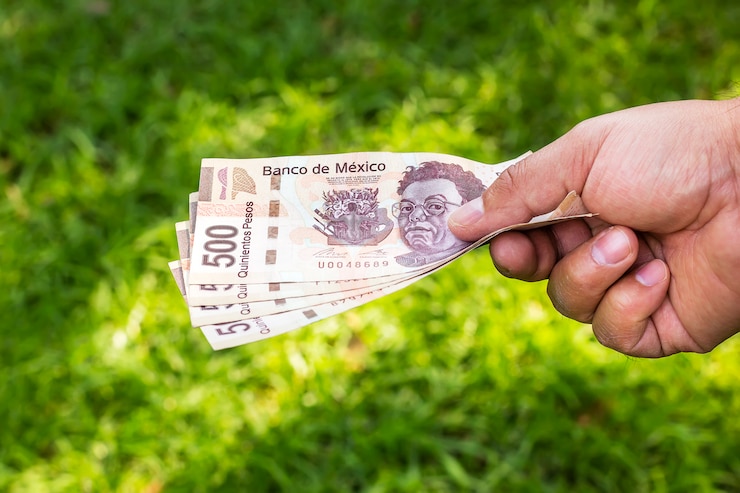 Foto mano con soldi - pesos messicani