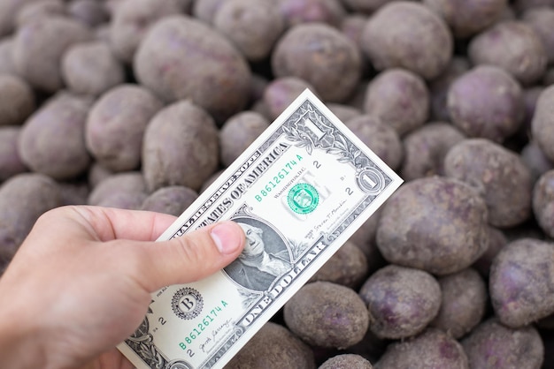 Mano con una banconota da un dollaro USA contro la patata Prezzo sul concetto di patata commercio di patate raccolte