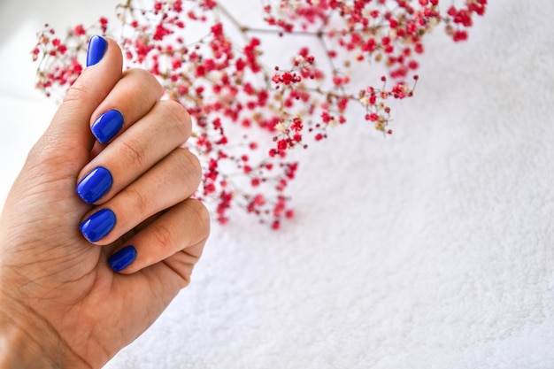 Mano con unghie blu su sfondo di fiori secchi. Manicure femminile. bella manicure glamour. Manicure invernale o autunnale in blu. Colore smalto per unghie alla moda