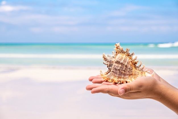 Mano dei bambini che tiene grande conchiglia di mare sul cielo blu e sullo sfondo dell'oceano, concetto di estate tropicale