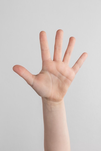 Mano del bambino che conta e mostra cinque dita su sfondo bianco e grigio