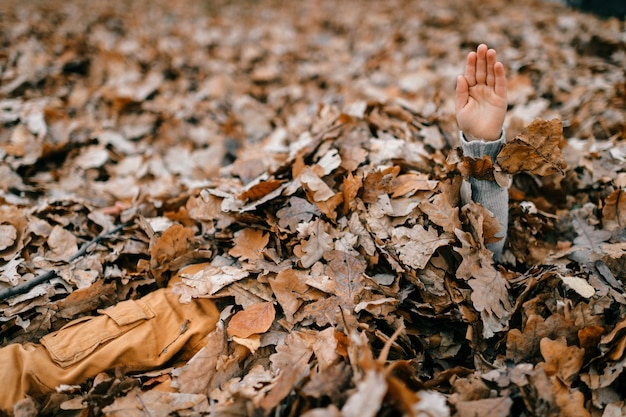 Mano del bambino in foglie di autunno