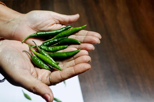 Mano della donna che tiene alcuni peperoncini verdi freschi