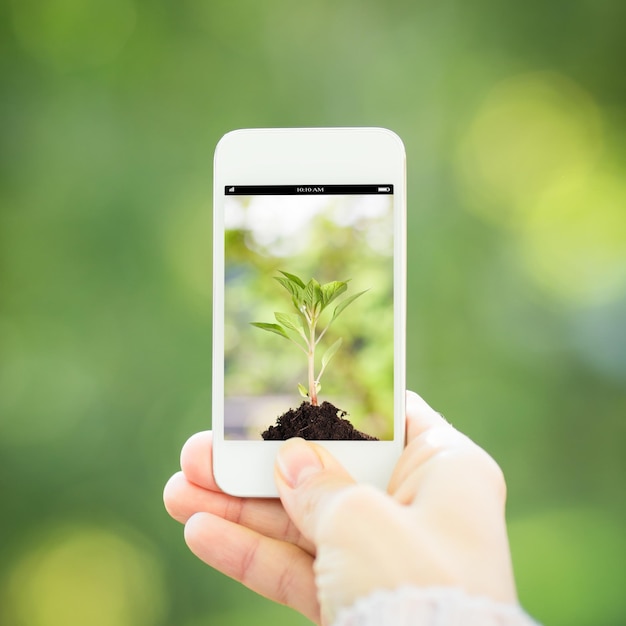 Mano della donna che tiene smart phone su sfondo verde primavera