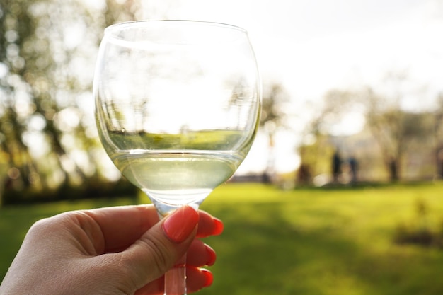 Mano della donna che tiene un bicchiere di vino bianco sullo sfondo sfocato del parco verde al tramonto estivo
