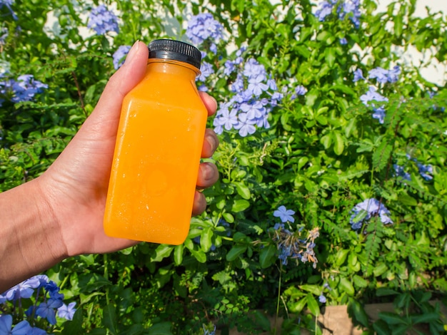 Mano della donna che tiene una bottiglia di succo d'arancia pronta da bere. Nel giardino fiorito