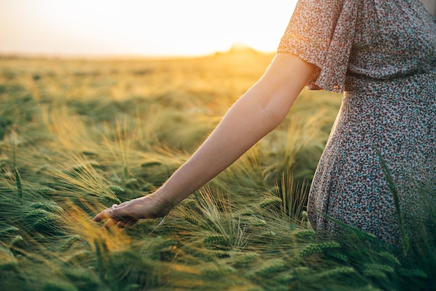 Mano della donna che tocca le spighe d'orzo da vicino nella luce del tramonto nel campo Raccolto e agricoltura Atmosferico momento tranquillo vita rustica lenta Elegante donna che gode della campagna estiva serale