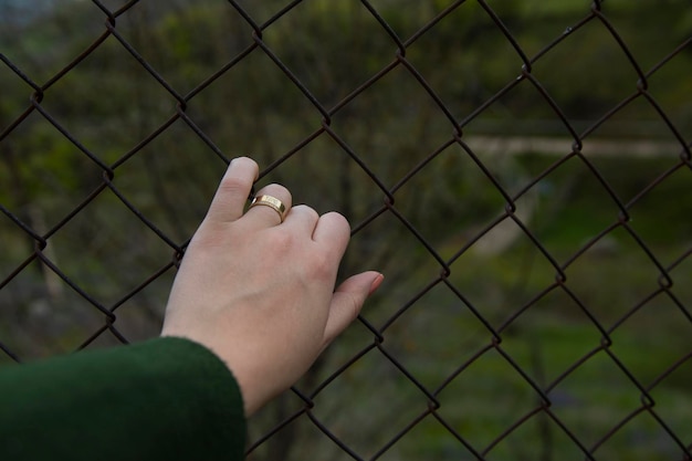 Mano della donna in gabbia nel paesaggio