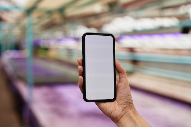 Mano di agricoltore o giardiniere contemporaneo con il telefono cellulare che scatta foto di riprese video all'interno di una grande serra con piantine in crescita