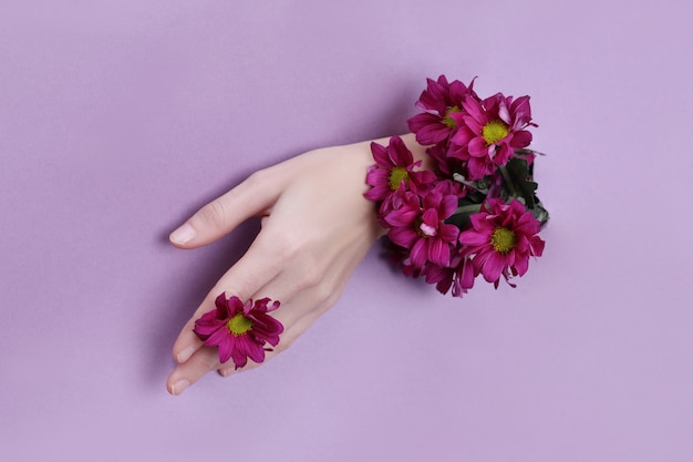 Mano di bellezza con fiori in un buco in uno sfondo di carta viola. Cosmetici per le mani naturali, estratti naturali di fiori, idratanti e ammorbidenti per la pelle