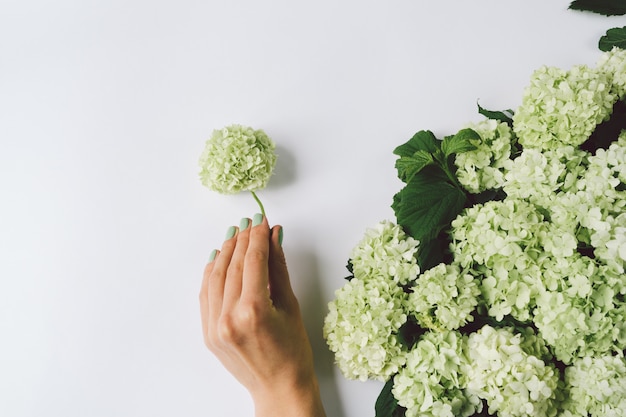 Mano femminile che fa decorazione dei fiori verdi su un fondo bianco