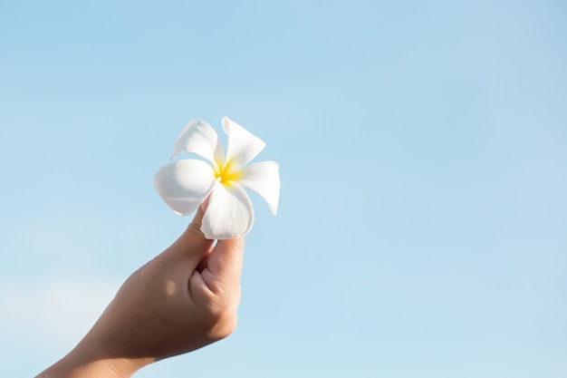 Mano femminile che tiene fiore bianco sul cielo