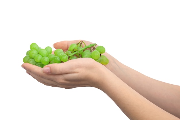 Mano femminile che tiene l'uva verde isolata su un background . bianco