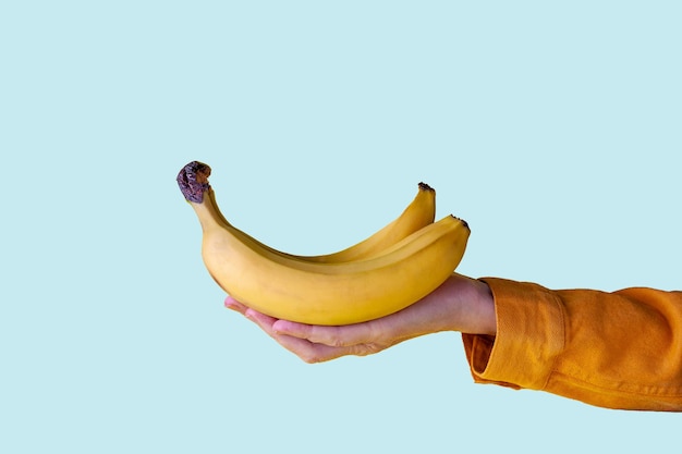 Mano femminile che tiene le banane mature su sfondo blu