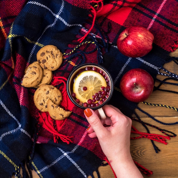 Mano femminile che tiene una tazza di tè con il quadrato di picnic all'aperto del limone e della bacca