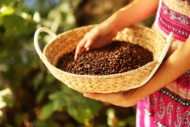 Mano femminile che tocca i chicchi di caffè nel cestino