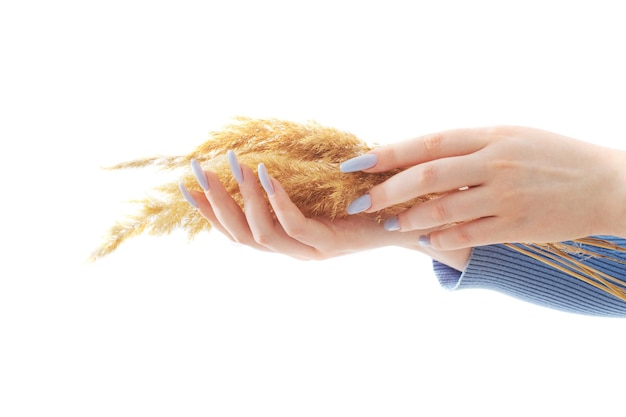 Mano femminile con bouquet di fiori secchi isolati su sfondo bianco