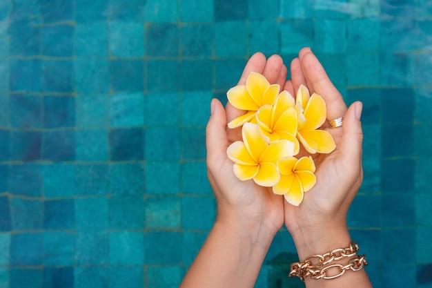 Mano femminile con frangipani sullo sfondo di una piscina blu