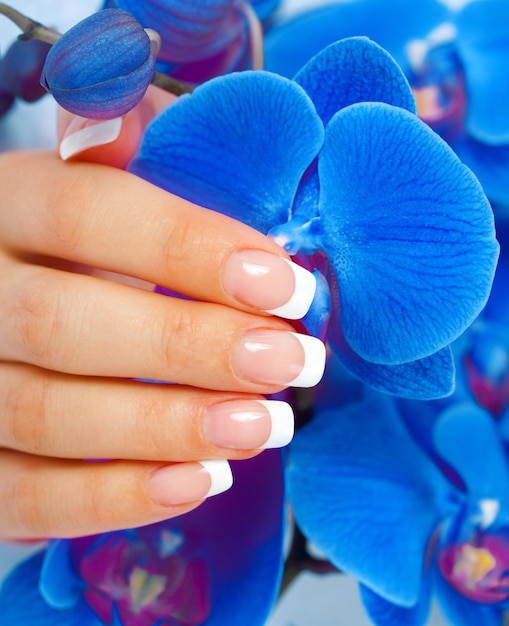 Mano femminile con french manicure su fiori di orchidea blu