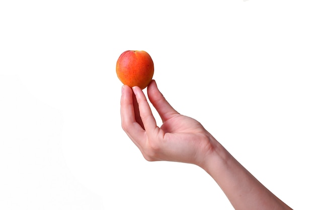 Mano femminile con gustosa albicocca su sfondo bianco. Crema per mani e trattamento o idea e concetto di cibo sano biologico