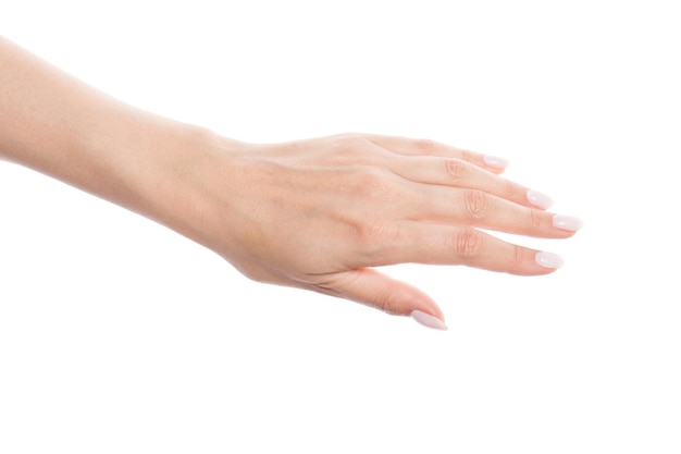 Mano femminile con unghie curate bianche isolate su sfondo bianco