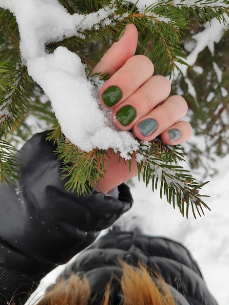 Mano femminile con unghie manicure grigio verde lucido fresche che tengono il ramo di abete innevato in inverno