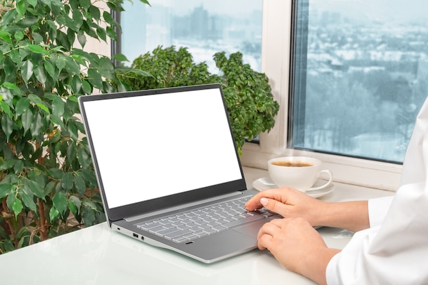 Mano femminile dello schermo in bianco facendo uso del computer portatile. contattare le informazioni di ricerca aziendale sulla scrivania in ufficio a casa.
