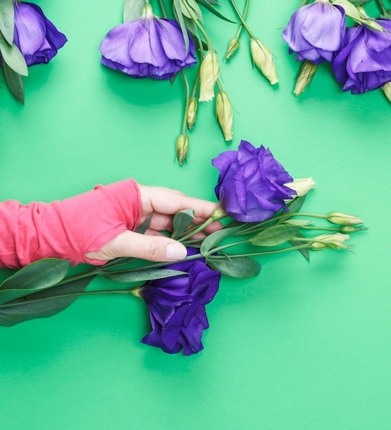 Mano femminile in un maglione rosa che tiene un ramo di un fiore