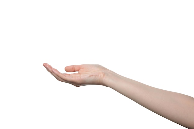 Mano femminile isolata su sfondo bianco