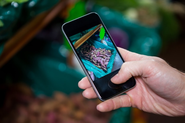 Mano fotografare una cassa di patate dolci