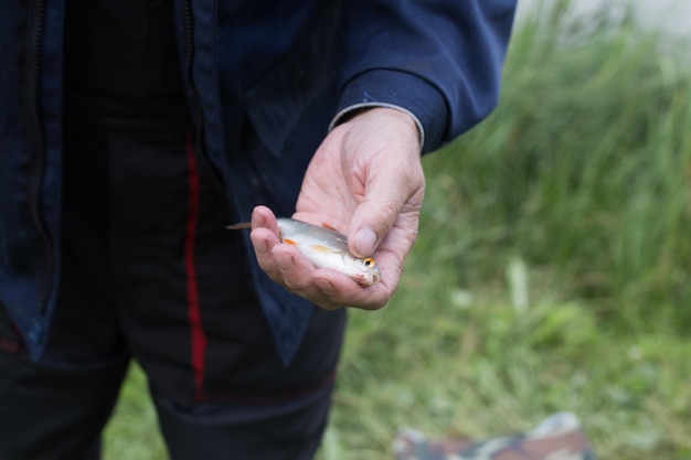 Mano maschile che tiene un piccolo pesce scarafaggio