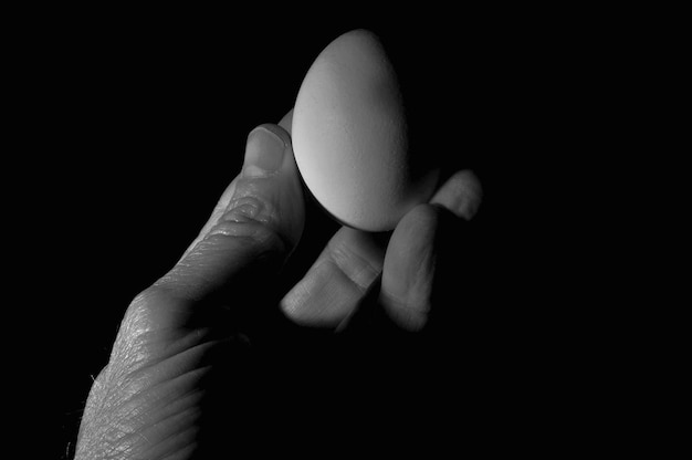 Mano tagliata che tiene un uovo su uno sfondo nero