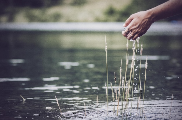 Mano tagliata di donna che spruzza acqua nel lago