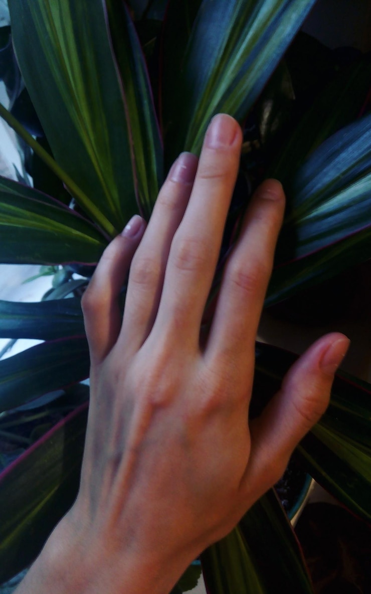 Foto mano tagliata di una donna che tocca le piante