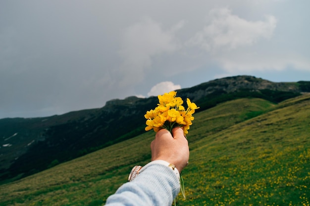 Mano tagliata di una persona che tiene fiori gialli sulla montagna