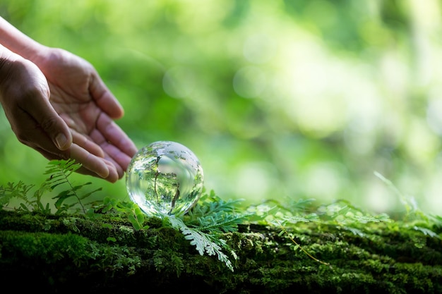 Mano umana che tiene globo pianeta vetro nella foresta verde con bokeh natura luci concetto giornata mondiale dell'ambiente per la conservazione dell'ambiente proteggere l'ecologia terra e la vita ecofriendly ambientale