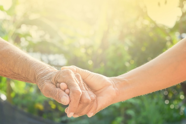 Mano, vecchio e mano con la luce del mattino