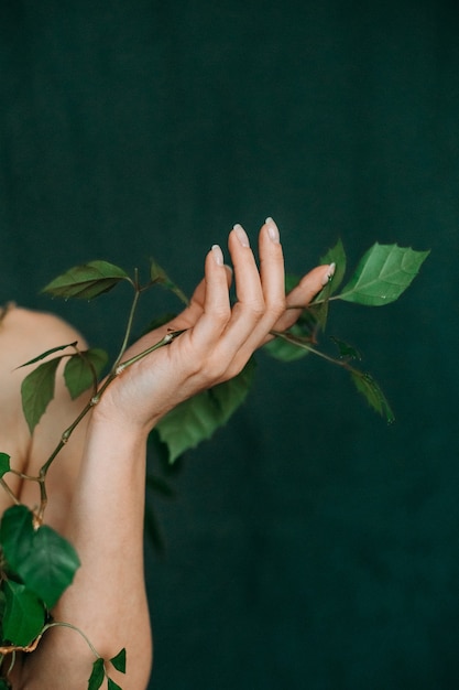 Mano vene gioventù concetto di vita pianta rampicante flora verde