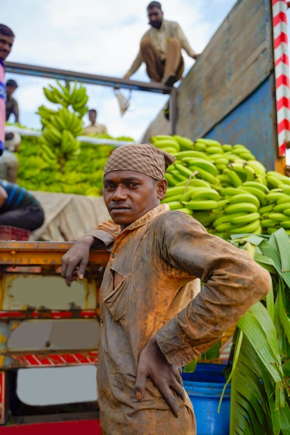 Manodopera indiana che trasporta un grappolo di banane dal campo agricolo.