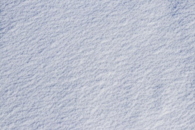 Manto nevoso uniforme. Struttura della neve su un appezzamento di terreno pianeggiante