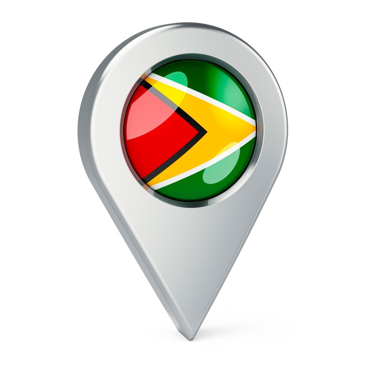 Photo map pointer with flag of gayana 3d rendering