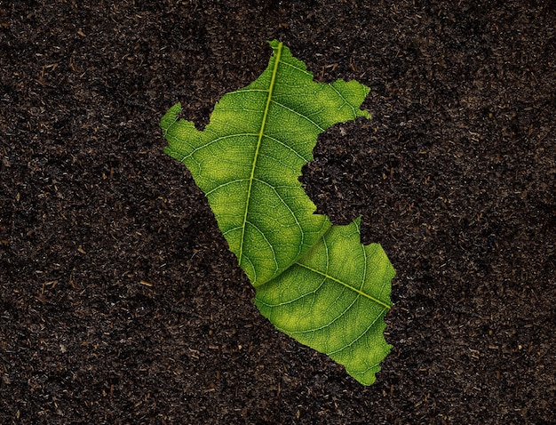 Mappa del Perù fatta di foglie verdi sul concetto di ecologia del fondo del suolo