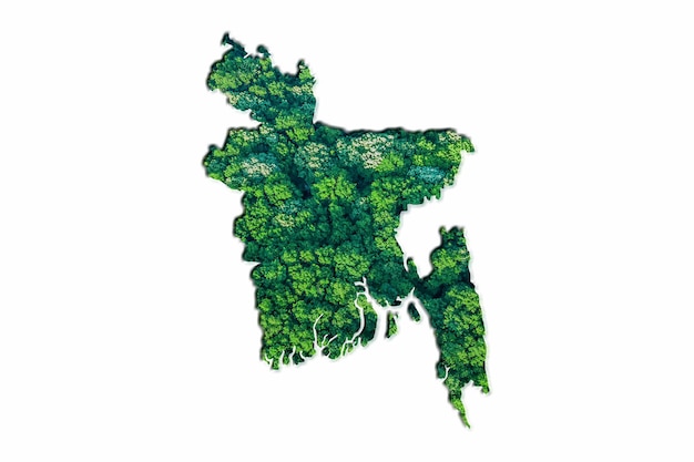 Mappa della foresta verde del Bangladesh, su sfondo bianco