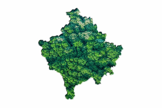 Mappa della foresta verde del Kosovo, su sfondo bianco