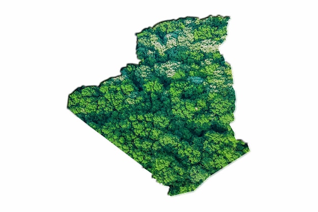 Mappa della foresta verde dell'Algeria, su sfondo bianco