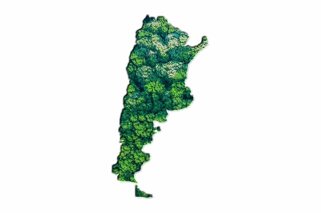 Mappa della foresta verde dell'Argentina, su sfondo bianco